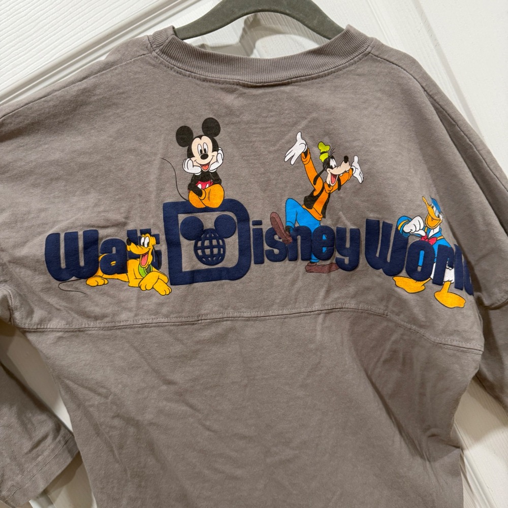 Disney Parks Spirit Jersey Walt Disney World Mickey Friends Gray Large